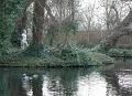 2009-0116_1230_Morden_Hall_Park_8C
